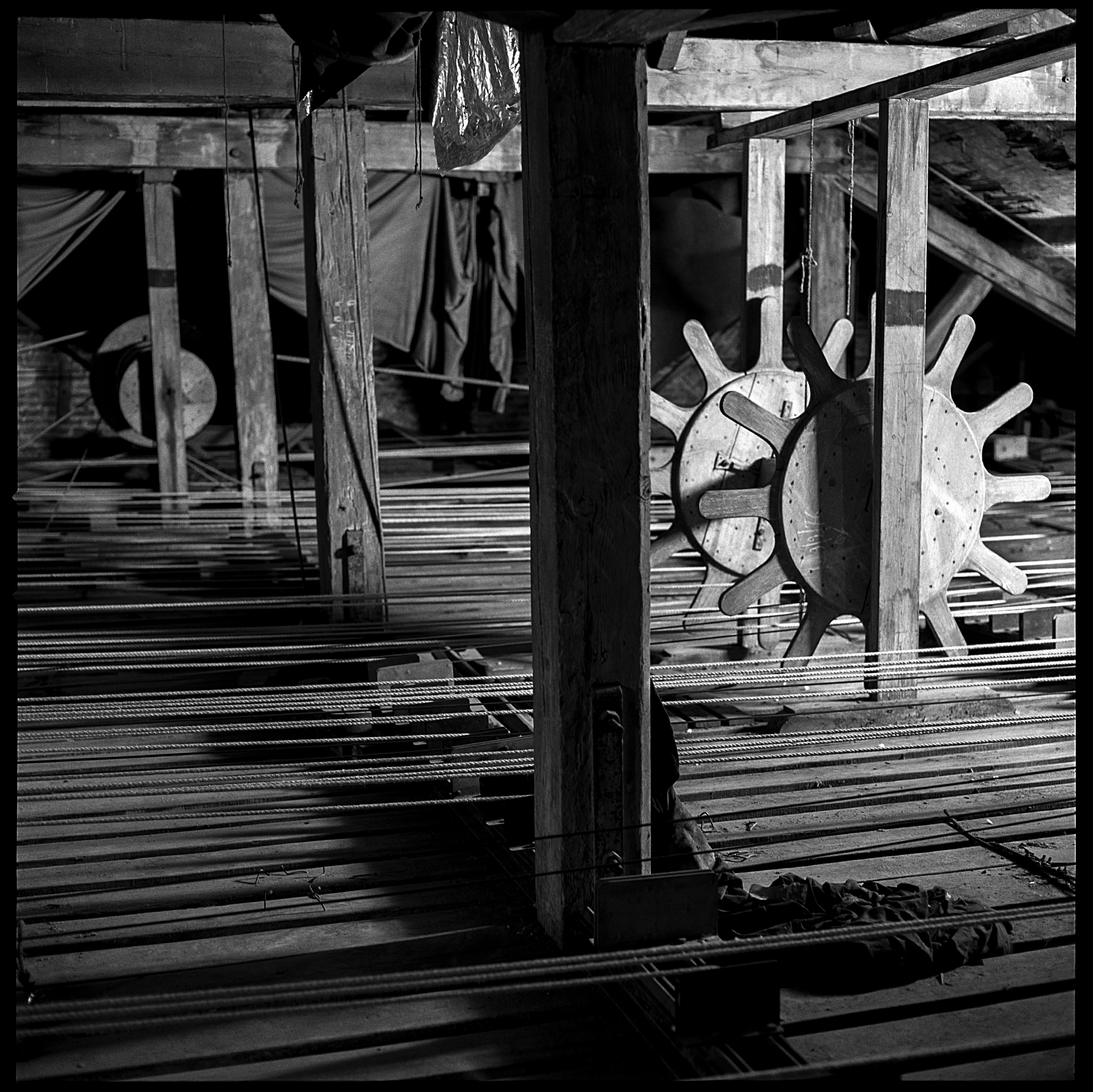 14,Picture 026 - Photographie de Forêts dévastées par André Soupart